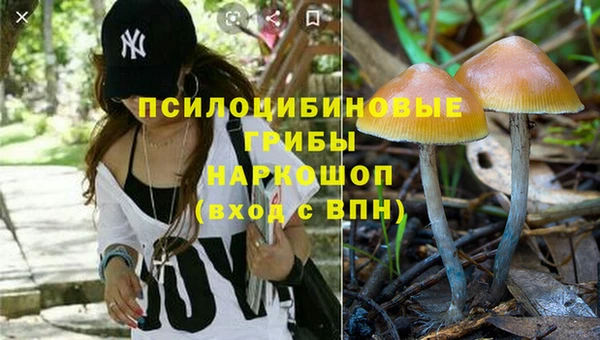 ALPHA PVP Арсеньев