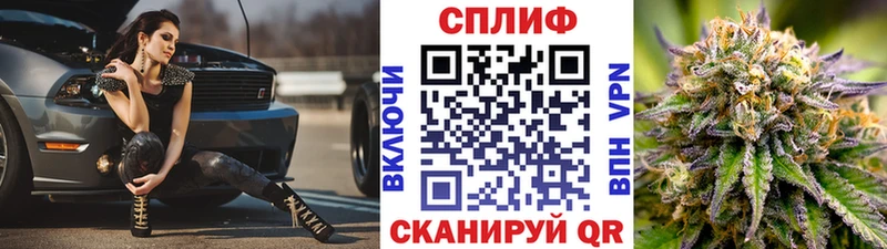 как найти наркотики  Приволжск  Марихуана гибрид 